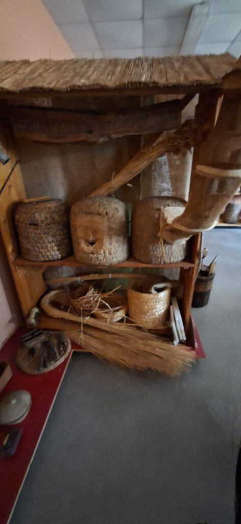 Life-Science-Kurs besucht Imkerei