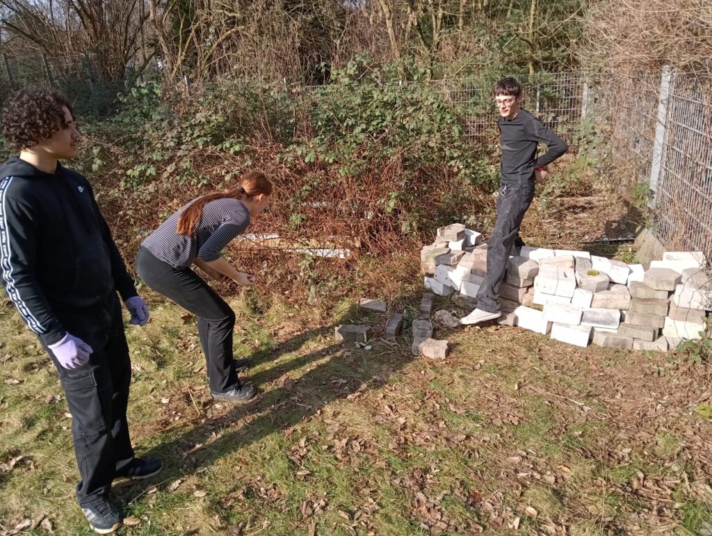 Lebensräume schaffen statt nur darüber reden – Biochemie-Kurs engagiert sich für Artenvielfalt