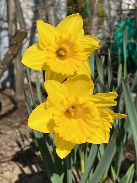 Schöne Osterferien!