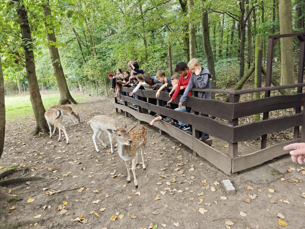 Unterricht im Wald